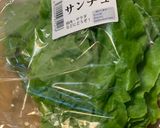 ちょっと厚めの豚バラでサムギョプサル風✨作り方5写真
