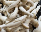 鶏むねとキャベツ・しめじのカレー醤油炒め作り方2写真