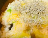 ちりめん＆鍋野菜の雑炊作り方2写真