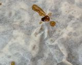 帆立 ホタテ ヒモ 乾物 干物作り方5写真