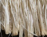 豚肉とえのきと白菜鍋作り方1写真