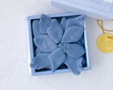 青い花びらチョコ【ペタルチョコ】作り方7写真