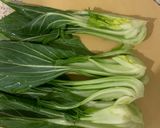 簡単！ちんげん菜のおかか醤油作り方2写真