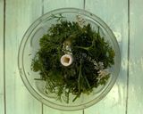 粗みじんパクチージェノベーゼソース作り方2写真