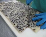 簡単給食　水無月作り方5写真