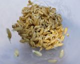 赤空豆ご飯　発芽燕麦入り作り方8写真