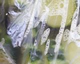 たっぷり生姜入り☆きゅうりのキューちゃん作り方3写真