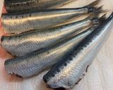 イワシの生姜煮★圧力鍋使用作り方1写真