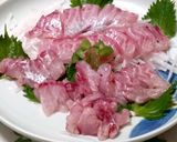 イサキの刺身作り方6写真