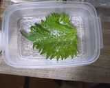 青ジソの塩漬け作り方4写真