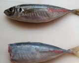 アジのガーリックパン粉焼き作り方1写真