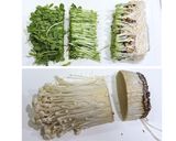 レンジで簡単！豆苗とえのきの中華サラダ作り方1写真
