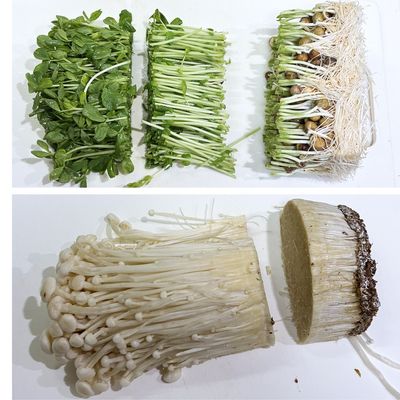 レンジで簡単！豆苗とえのきの中華サラダ by moj 【クックパッド