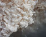 簡単☆保温鍋☆ふんわり美味しい甘酒作り方4写真