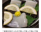 ヤリイカ刺身&初心者でも簡単下処理作り方10写真