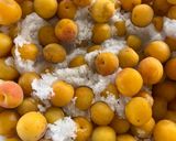 塩分控えめ10%梅干し作り方6写真