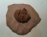 チョコクリームでダブルショコラパン作り方11写真
