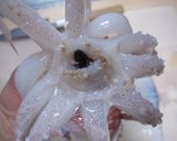 ☆簡単☆イカの塩辛☆母の味☆作り方3写真