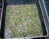 ふきのとう味噌作り方2写真
