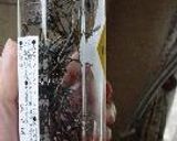 昆布ドレッシング作り方2写真