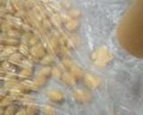 打ち豆の作り方　～この辺のおばちゃん流作り方15写真