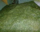 お茶 日本茶 ふかむし茶の製造から試飲作り方1写真