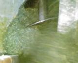 お茶 日本茶 ふかむし茶の製造から試飲作り方7写真