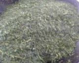 お茶 日本茶 ふかむし茶の製造から試飲作り方12写真