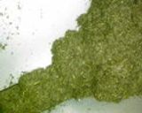お茶 日本茶 ふかむし茶の製造から試飲作り方15写真