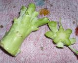 ブロッコリーの茎で♡簡単食べるポタージュ作り方1写真