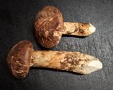 松茸のホイル焼き🍄🟫作り方1写真