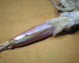 塩麹でイカの塩辛作り方3写真