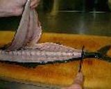 魚の解体法♪☆3枚おろし☆作り方11写真