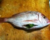 お祝い鯛の塩釜焼き～簡単！魚焼きグリルで作り方1写真