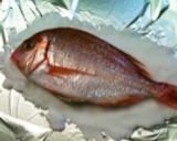 お祝い鯛の塩釜焼き～簡単！魚焼きグリルで作り方2写真