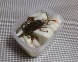 大根のお漬け物☆昆布入り作り方3写真