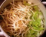 餃子&白菜もやしのスープ♫作り方3写真