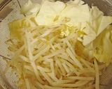 浪花っ子のソース焼きそば*焼きうどん作り方1写真