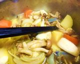 うどんスープと米粉で　和風チキンカレー作り方9写真
