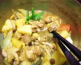 うどんスープと米粉で　和風チキンカレー作り方13写真