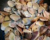 はまぐりのボンゴレビアンコ作り方5写真