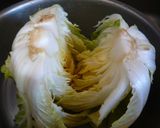 ビニル袋で簡単美味しい白菜漬け作り方1写真