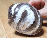 冷凍☆ロールケーキの茶巾絞り作り方4写真