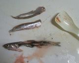 小いわしのかき揚げ作り方1写真