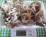手羽と大根の煮物作り方2写真