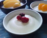 パルスイート&メレンゲでヨーグルトムース作り方11写真