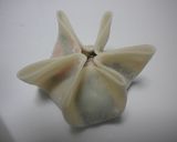 ほうれん草の蒸し餃子作り方3写真