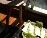 干し野菜・・・干すだけ作り方7写真