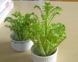 大根葉と大根の味噌汁作り方5写真