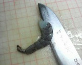 エビとブロッコリーのエビマヨ　ぷりぷり♪作り方2写真